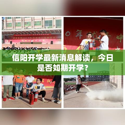 信陽開學最新消息解讀，今日是否如期開學？