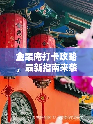 金粟庵打卡攻略，最新指南來襲！