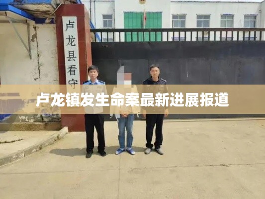 盧龍鎮(zhèn)發(fā)生命案最新進(jìn)展報(bào)道
