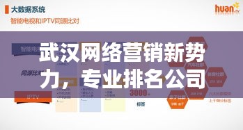武漢網(wǎng)絡(luò)營銷新勢力，專業(yè)排名公司助力企業(yè)快速騰飛