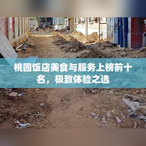 桃園飯店美食與服務(wù)上榜前十名，極致體驗(yàn)之選