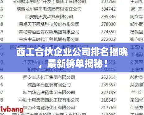 西工合伙企業(yè)公司排名揭曉，最新榜單揭秘！