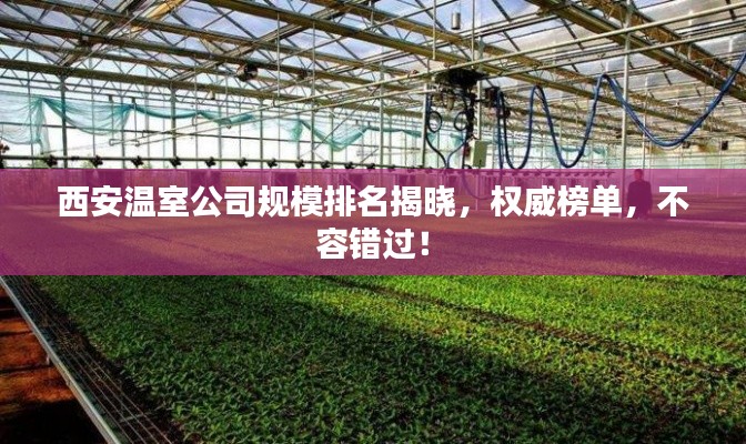 西安溫室公司規(guī)模排名揭曉，權(quán)威榜單，不容錯(cuò)過！