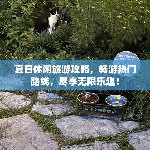 夏日休閑旅游攻略，暢游熱門(mén)路線(xiàn)，盡享無(wú)限樂(lè)趣！