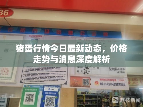 豬蛋行情今日最新動態(tài)，價格走勢與消息深度解析