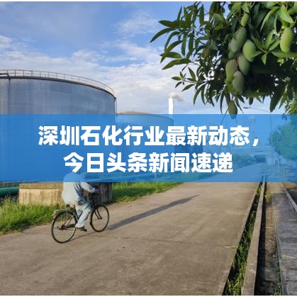 深圳石化行業(yè)最新動(dòng)態(tài)，今日頭條新聞速遞