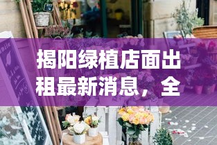揭陽綠植店面出租最新消息，全面更新，一睹即知