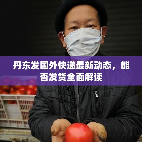 丹東發(fā)國外快遞最新動態(tài)，能否發(fā)貨全面解讀