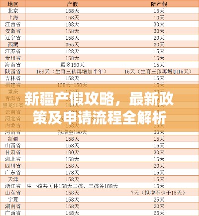 新疆產(chǎn)假攻略，最新政策及申請流程全解析