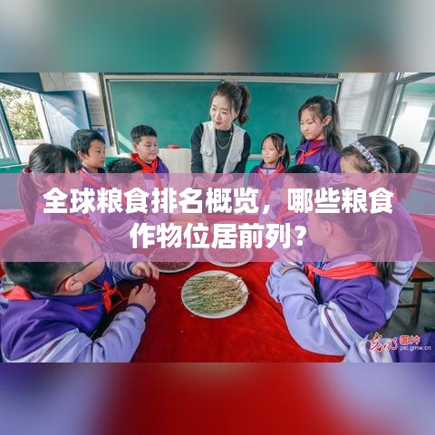 全球糧食排名概覽，哪些糧食作物位居前列？