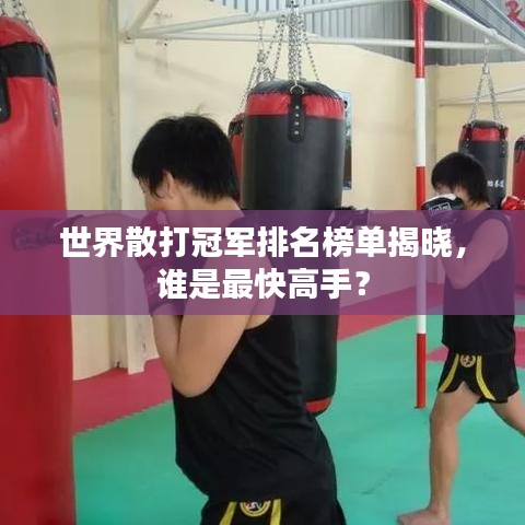 世界散打冠軍排名榜單揭曉，誰(shuí)是最快高手？