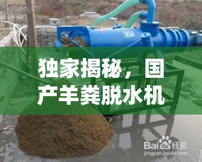獨家揭秘，國產(chǎn)羊糞脫水機公司排名及行業(yè)影響力，百度收錄必備標題！