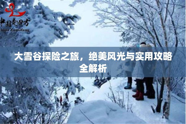 大雪谷探險之旅，絕美風光與實用攻略全解析