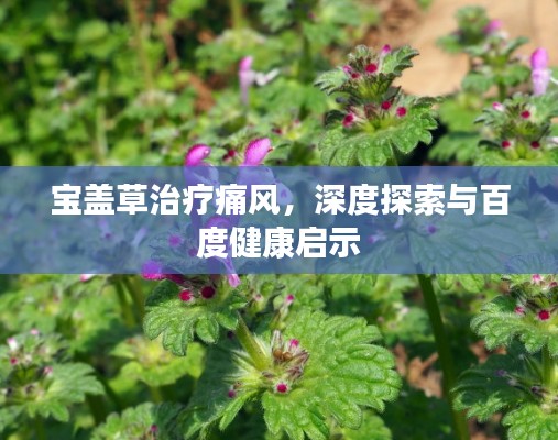 寶蓋草治療痛風(fēng)，深度探索與百度健康啟示