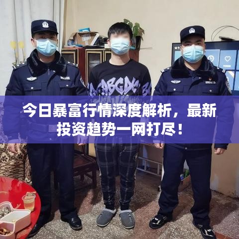 今日暴富行情深度解析，最新投資趨勢一網(wǎng)打盡！