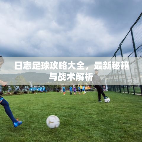 日志足球攻略大全，最新秘籍與戰(zhàn)術解析