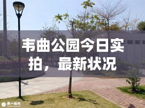 韋曲公園今日實(shí)拍，最新狀況全解析
