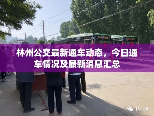 林州公交最新通車動態(tài)，今日通車情況及最新消息匯總