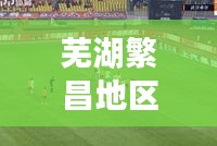 蕪湖繁昌地區(qū)最新動態(tài)，頭條新聞報道揭秘最新進(jìn)展