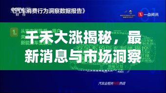千禾大漲揭秘，最新消息與市場(chǎng)洞察深度解讀