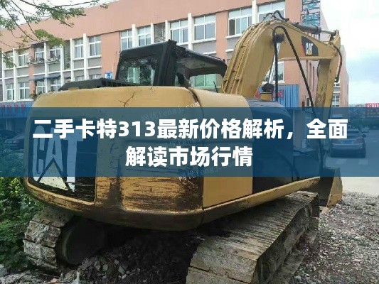 二手卡特313最新價格解析，全面解讀市場行情