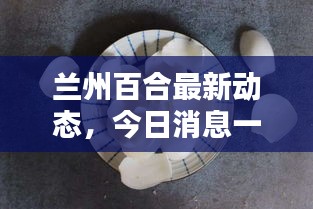 明目張膽 第3頁(yè)