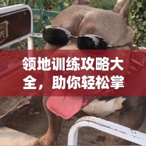 沉厚寡言 第3頁