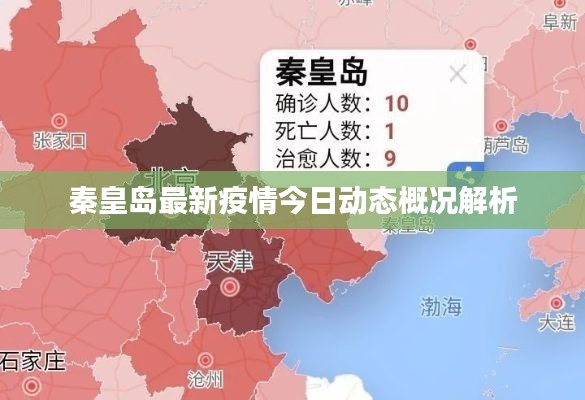 秦皇島最新疫情今日動(dòng)態(tài)概況解析
