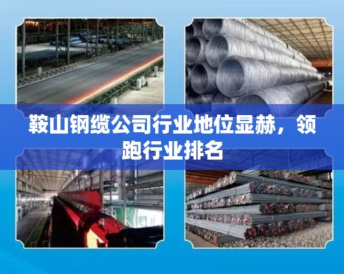 鞍山鋼纜公司行業(yè)地位顯赫，領(lǐng)跑行業(yè)排名