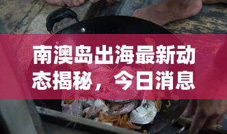 南澳島出海最新動態(tài)揭秘，今日消息一網(wǎng)打盡！