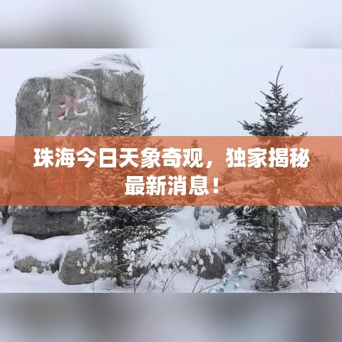 珠海今日天象奇觀，獨家揭秘最新消息！