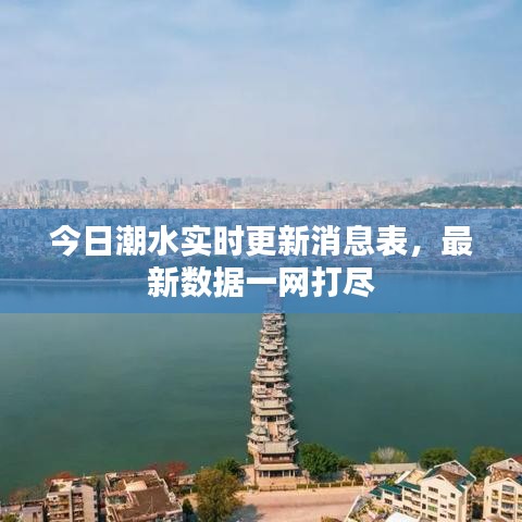 今日潮水實時更新消息表，最新數(shù)據(jù)一網(wǎng)打盡