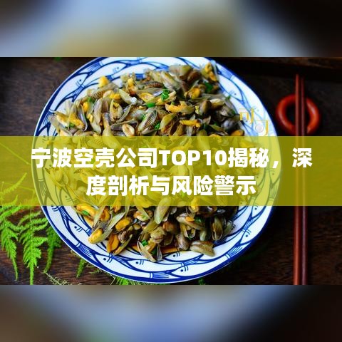 寧波空殼公司TOP10揭秘，深度剖析與風險警示