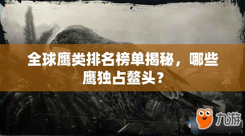 全球鷹類排名榜單揭秘，哪些鷹獨占鰲頭？