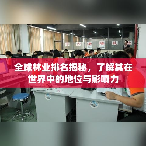 全球林業(yè)排名揭秘，了解其在世界中的地位與影響力
