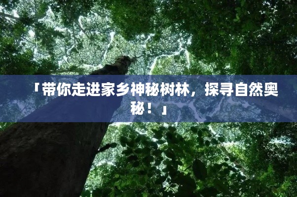 「帶你走進(jìn)家鄉(xiāng)神秘樹林，探尋自然奧秘！」