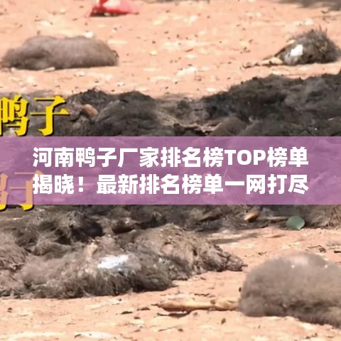 河南鴨子廠(chǎng)家排名榜TOP榜單揭曉！最新排名榜單一網(wǎng)打盡！