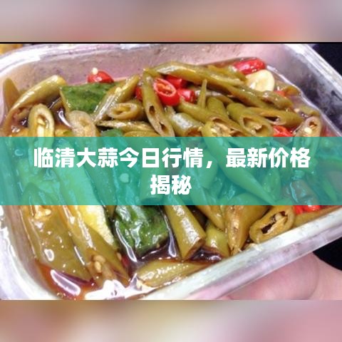 臨清大蒜今日行情，最新價格揭秘