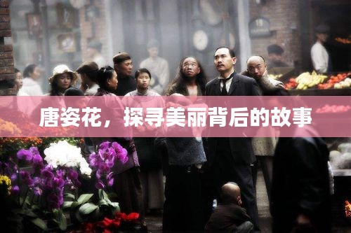 唐姿花，探尋美麗背后的故事