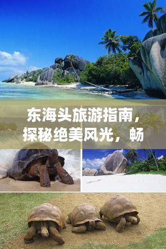 東海頭旅游指南，探秘絕美風(fēng)光，暢游夢(mèng)幻之旅！