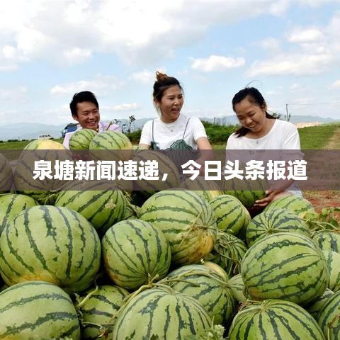 泉塘新聞速遞，今日頭條報道