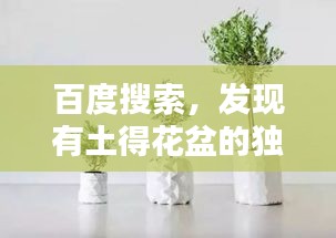 百度搜索，發(fā)現(xiàn)有土得花盆的獨特魅力