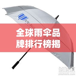 全球雨傘品牌排行榜揭曉，TOP品牌大比拼！