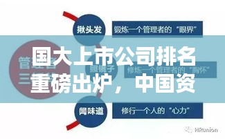 國大上市公司排名重磅出爐，中國資本市場龍頭企業(yè)全景解析
