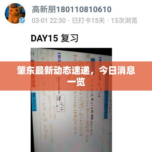 肇東最新動態(tài)速遞，今日消息一覽