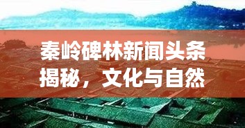 秦嶺碑林新聞?lì)^條揭秘，文化與自然的和諧交融之旅