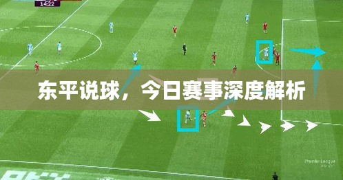 東平說(shuō)球，今日賽事深度解析