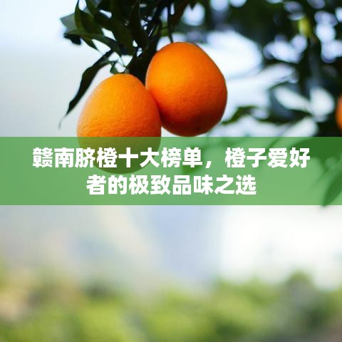 贛南臍橙十大榜單，橙子愛好者的極致品味之選