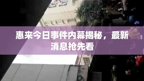 惠來今日事件內(nèi)幕揭秘，最新消息搶先看