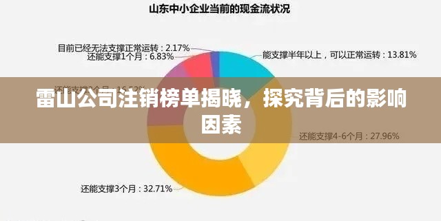 雷山公司注銷榜單揭曉，探究背后的影響因素
